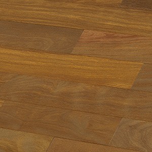 Brazilian Chestnut